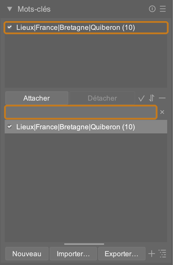 darktable : le module Mots-clés avec un mot-clé hiérarchique saisi